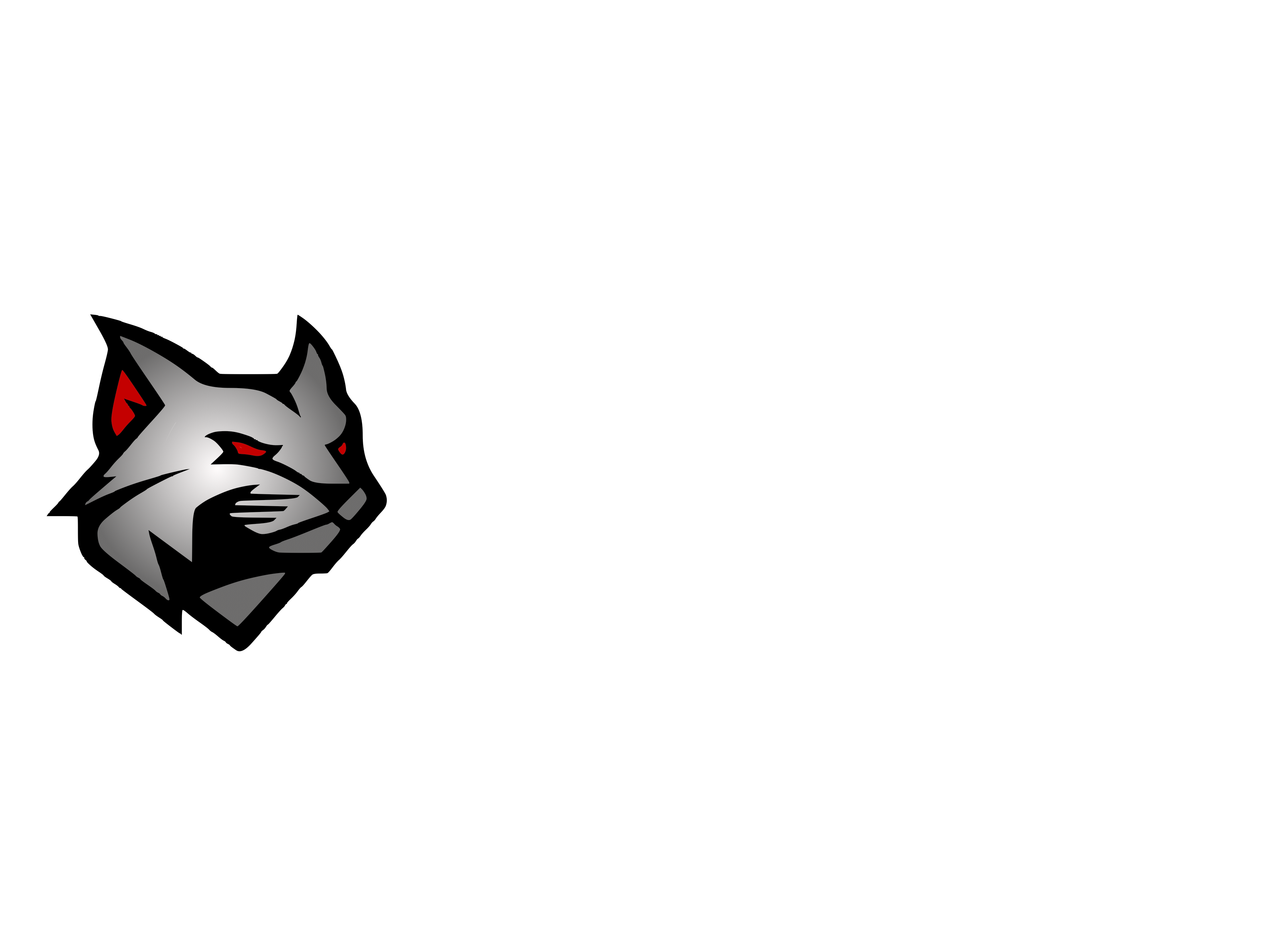 Bobcat Roofing