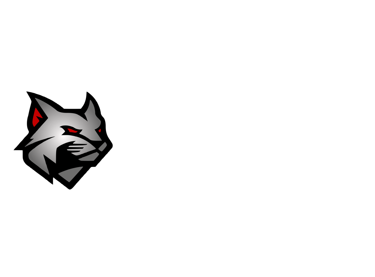 Bobcat Roofing